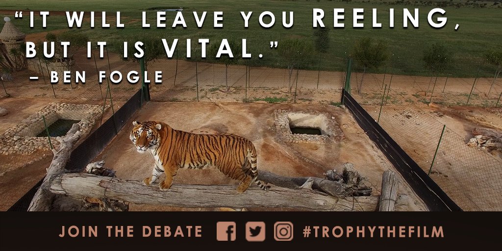See the controversial documentary <a href="/Benfogle/">Ben Fogle</a> calls ‘vital’ and join the #TrophyDebate! #TrophyTheFilm is on iTunes now.