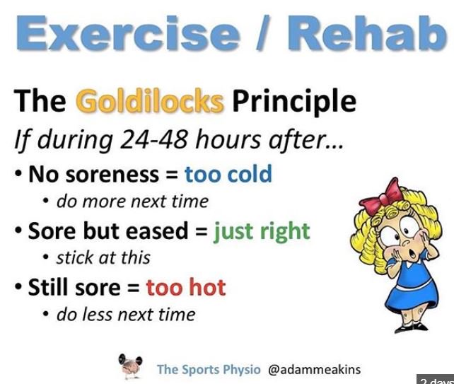 DrSportSante's tweet photo. #sportfisio17 Craig Purdam - 24h pain response after loading is an important component to use #optimalload #goldilocks @AdamMeakins https://t.co/G8VccIsxnD