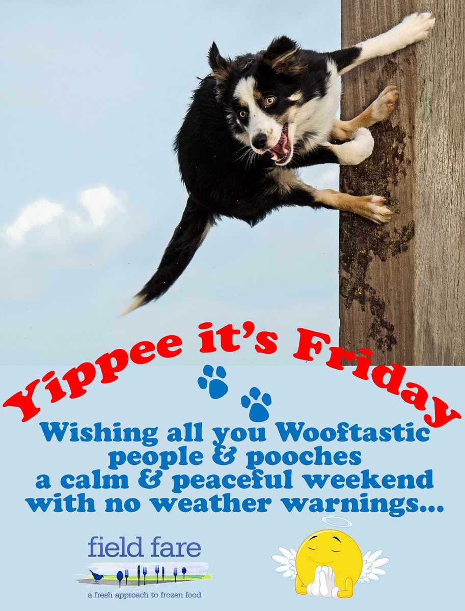 #FF Have a great weekend lovely people &amp; pooches 🐾☀️ @Wellybix <a href="/Woofbed/">WoofBed.co.uk Where Dogs Sleep Better</a> @PoochAndCo <a href="/keegansknines/">Keegan-Knines</a> <a href="/dotty4paws/">Dotty4Paws</a>