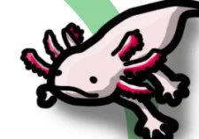 File.73 ウーパールーパーのエラをフサフサにする仕事昔は歌までできるまで人気者だったね。ウーパールーパー #Axolotl #Axolotl #水族館 #Aquarium #秘密のお仕事 #拡散希望 