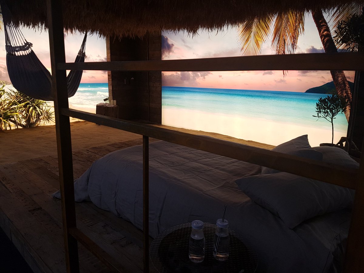 Nick Gee tweet media