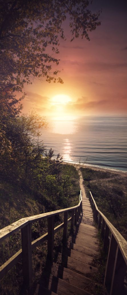 Our paths all lead to the same destination. The route that we embark upon to this destination, will depend upon your own free-will