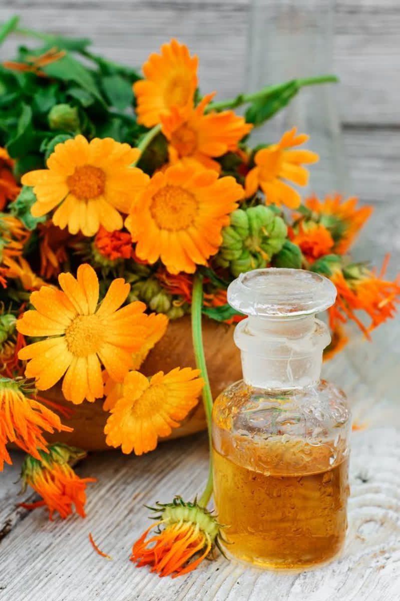 Ohmyskintherapy's tweet photo. #NaturalIngredients are key! Our formula contains #CalendulaFlower extract for its #Healing, #CellRegeneration and powerful #AntiAgeing abilities. #SkinRescue #BBloggers #OhMySkin #MadeInEngland #Beauty #Skincare https://t.co/OhSQmgtQic https://t.co/uy2gNo6oFs