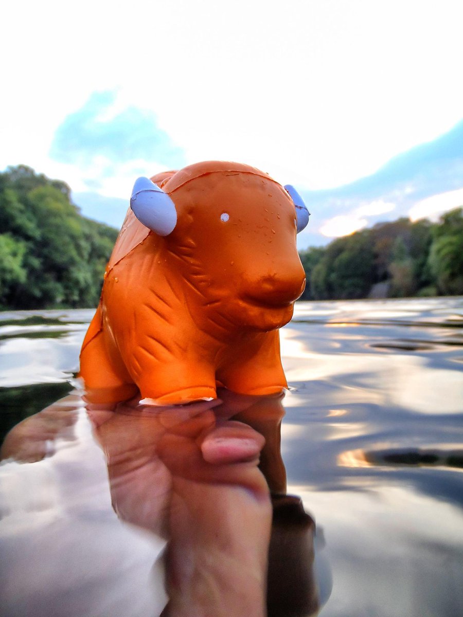 Yak_Adventure's tweet photo. Just keep swimming... it's almost the weekend! Don't forget to the enter the #WheresYakAt photo competition! Contact us to find out how to get your hands on a squishy Yak! https://t.co/TnWLI4dCgq #WheresYakAtTripleUp https://t.co/X4eD1KoEuo