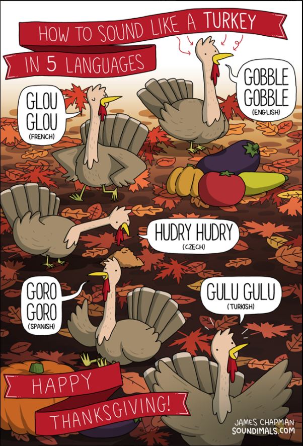 babla's tweet photo. How to sound like a turkey by @chapmangamo 
Glu glu in Brazilian Portuguese 😁

#Turkey #Languages #Thanksgiving https://t.co/eBLe3fhQRS