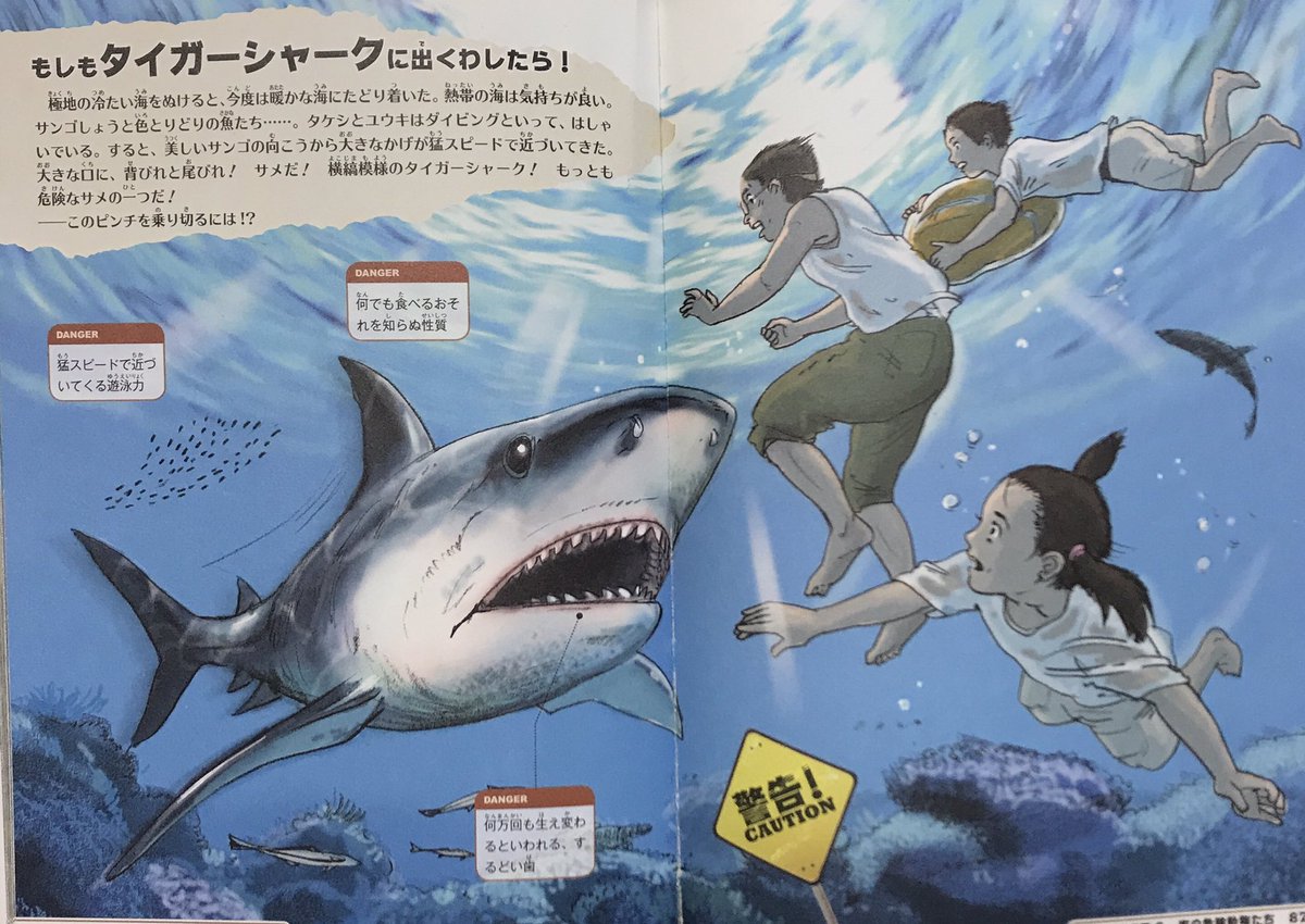もしも の図鑑 もしもタイガーシャークに出くわしたら 鋭い歯を持つ危険なサメ タイガーシャーク このピンチを乗り切るには ふんどし こんなもしもの時のためにトランクス派もブリーフ派もふんどしを身につけることをお勧めします 危険動物