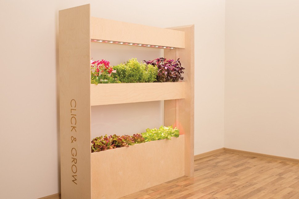 VeggieBros_'s tweet photo. GROW YOUR OWN! #veggie_bros #microgreen #superfood #urbanfarm #urbanfarming #farmersmarket #food #chefs #veggiebros https://t.co/GkSow3lY6H https://t.co/9p2nRTK6pU