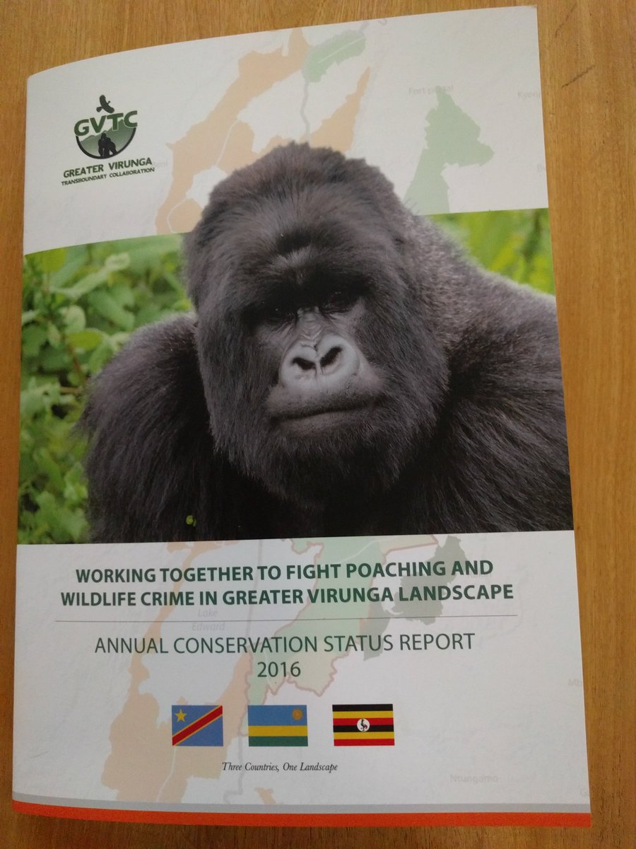 geogecko's tweet photo. Geo Gecko mapped ranger movement and poacher activity in Virunga parks. See our analysis in the #ministeroftourism launched @GreaterVirunga Conservation Report. Thanks for support @HenkJanBakker3 @NLinUganda https://t.co/jmG2tiXqLY