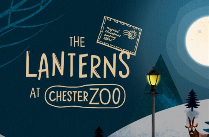 parkfields_hi's tweet photo. #Chester really is beautiful at Christmas time.. and @chesterzoo  have made it even better.... https://t.co/3cCJvpbLfK 

#LuxuryHouseRental #ChesterChristmas #chestertweets https://t.co/X445hkvE5q