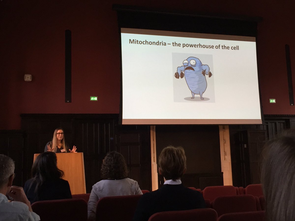 symBLS19's tweet photo. Up next, everyone’s favourite organelle #mitochondria (...is the powerhouse of the cell!) Beverly McCann of the MRC Mitochondrial Biology Unit describes novel research into the first potential treatments for mitochondrial diseases #MRC #Cambridge #LifeSciences https://t.co/Kbexr6HnjY