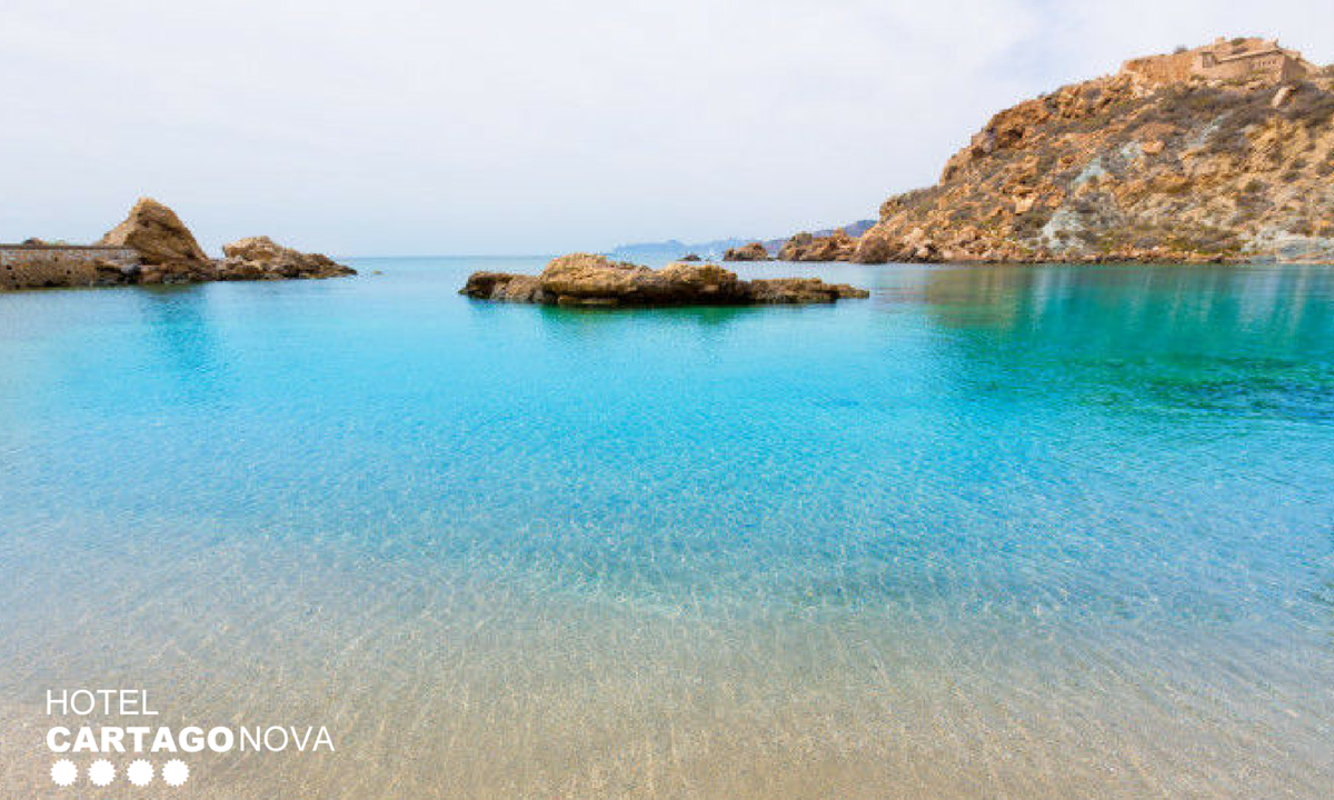 HCartagonova's tweet photo. Hay pocas cosas en la vida tan bonitas como ver y oir el mar... .❤️  ¡Feliz sàbado! https://t.co/eicHL4cE8P
