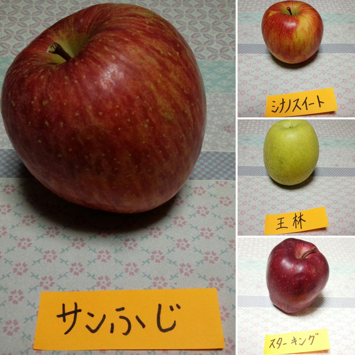 スターキング スターキング