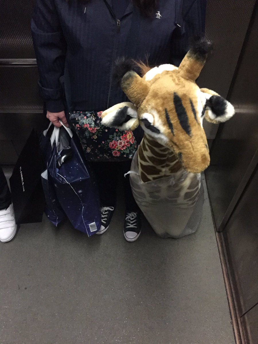 I just asked this woman if her dog bites...and she tried to tell me it's not a dog!