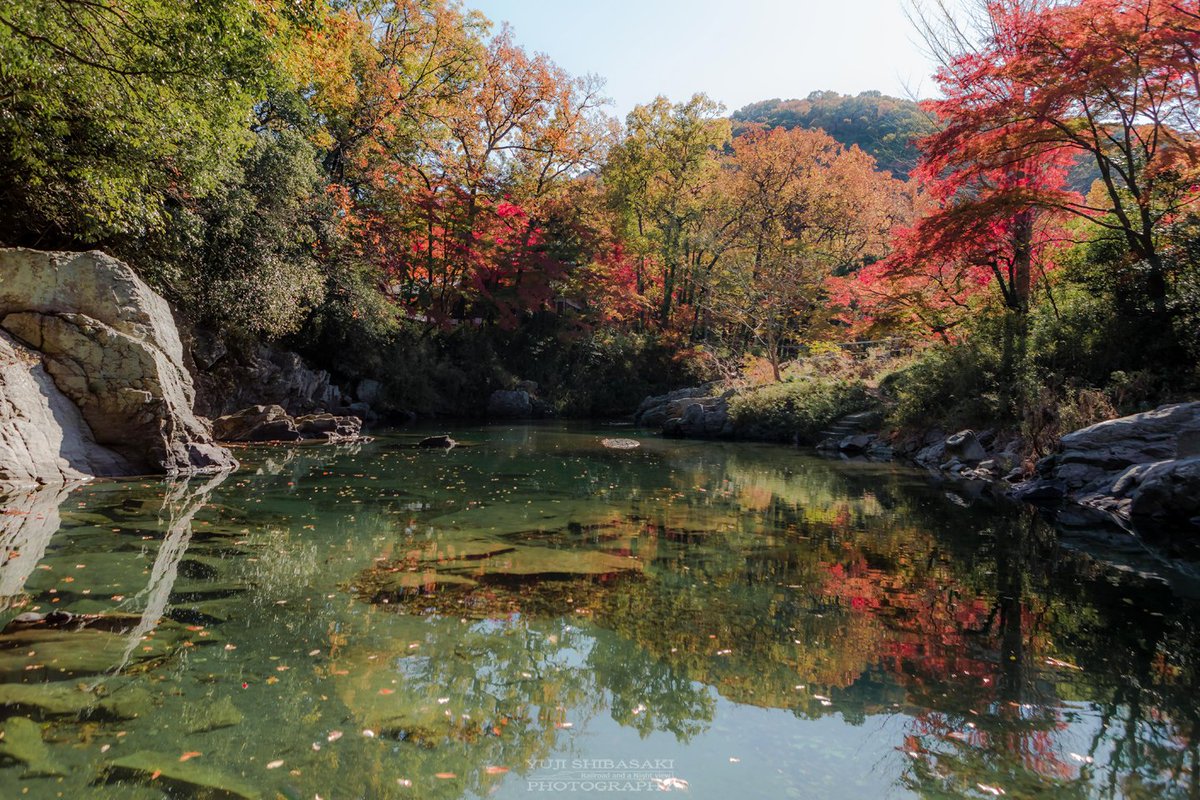 Yuji Shibasaki Photo 嵐山渓谷の紅葉 埼玉県嵐山町の嵐山 渓谷 あらしやま ではなく らんざん と読み 京都ではなく埼玉にあります 京都の嵐山と似ていることからこの地を武蔵嵐山と呼ぶように 池袋から電車で一時間ちょっとで来られる小京都