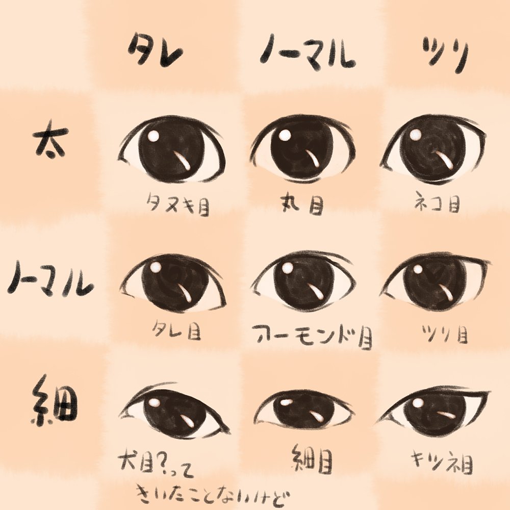 Twitter 上的 羽田了也 アストラガリ ノーマル目 ツリ目 タレ目 のバリエーションに 目の細い太いのバリエーションをつけると 目の描き分けが３ ３が９種類になるよ 捗るね T Co Wcmblyo0gu Twitter
