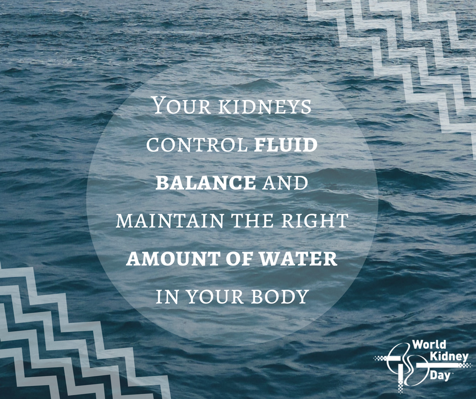 worldkidneyday's tweet photo. Your #AmazingKidneys keep the amount of fluid constant in your body. If you are #dehydrated (not drinking enough water), the kidneys will not make urine until you start drinking water again.
It is very important to stay #hydrated to keep your kidneys & your whole body healthy. https://t.co/xEnh1YkBDh