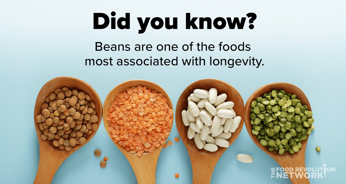 BudwigCenter's tweet photo. Health recommendations, benefits of Beans + 12 Recipes That Will Make You Love Them
https://t.co/lgS59hQqfJ
#healthrecommendations #beans #healthyfood #healthydiet https://t.co/YElUSt7QZ8