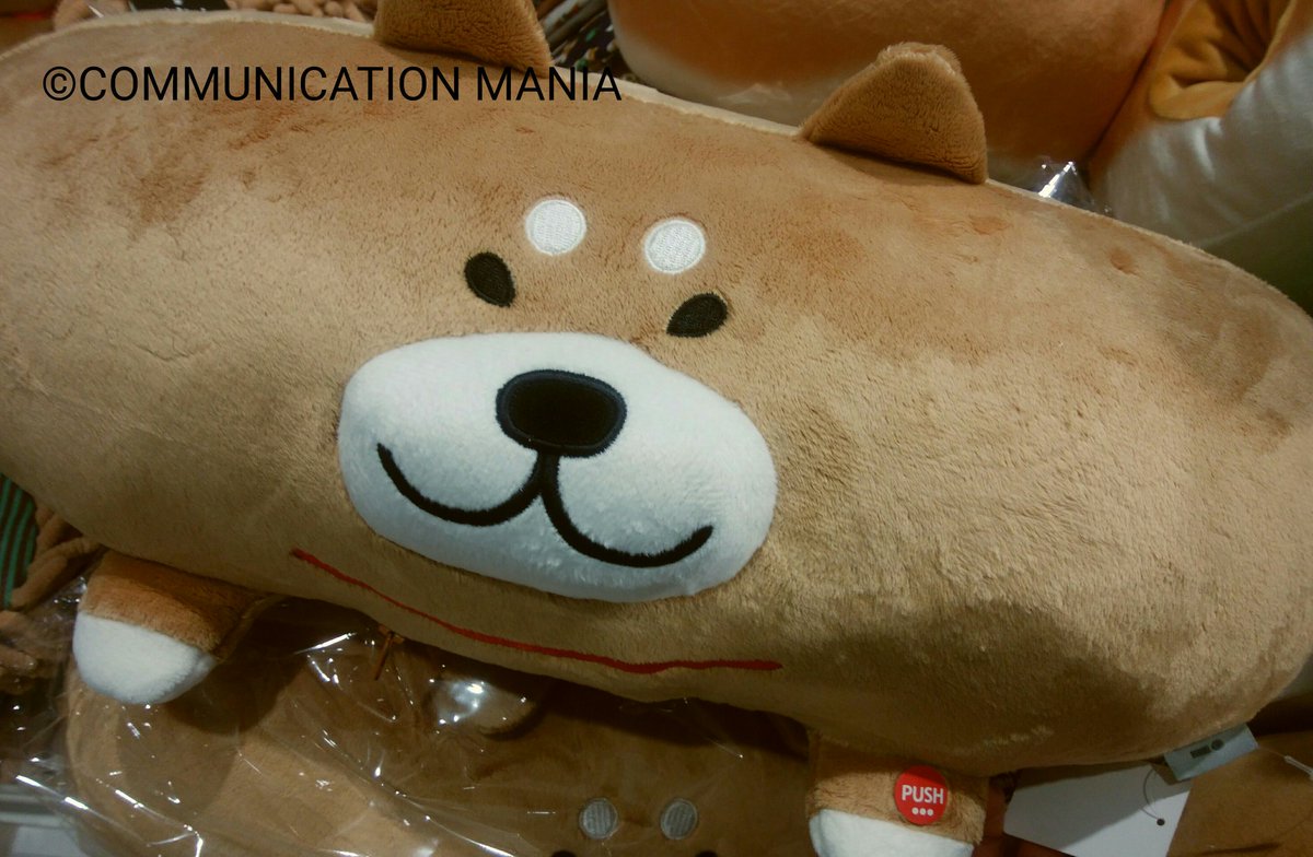 Communication Mania 新横浜店です 人気の柴犬コーナーが拡大 新商品のクッションやスリッパ ポーチが入荷しました 心も体も癒される柴犬グッズはプレゼントにもオススメです 新横浜 コミュニケーションマニア 犬 柴犬 クッション 癒し