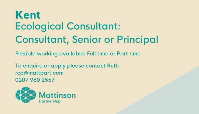 MattinsonP's tweet photo. Get in touch with @MPRuthPrescott for more details #ecology #ecological #environment #kent #newjob #career https://t.co/sB3yiQU5XJ