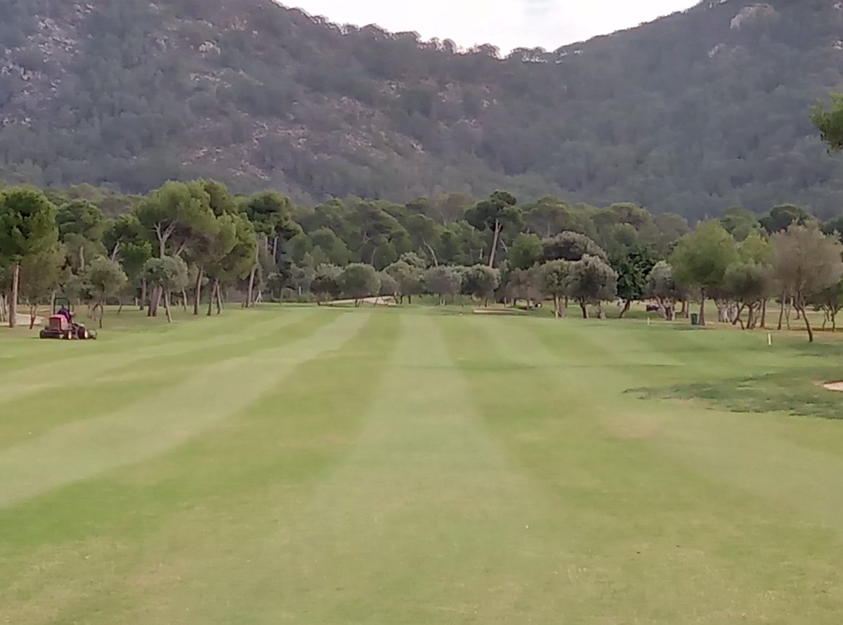 GCSSmaint's tweet photo. First cut on fairways after overseeded! @GolfSonServera #keepitgreen https://t.co/5OcOCy5868