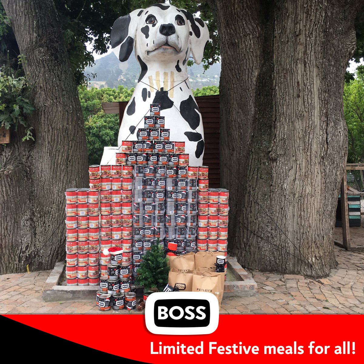 Tune into <a href="/AfternoonChat/">Afternoon Express</a> at 4pm on <a href="/SABC3/">S3</a> this Monday 27 Nov to help us spread the festive cheer to furry friends nationwide with our limited-edition BOSS Festive Collection nutritious food for dogs and see a special surprise for DARG.