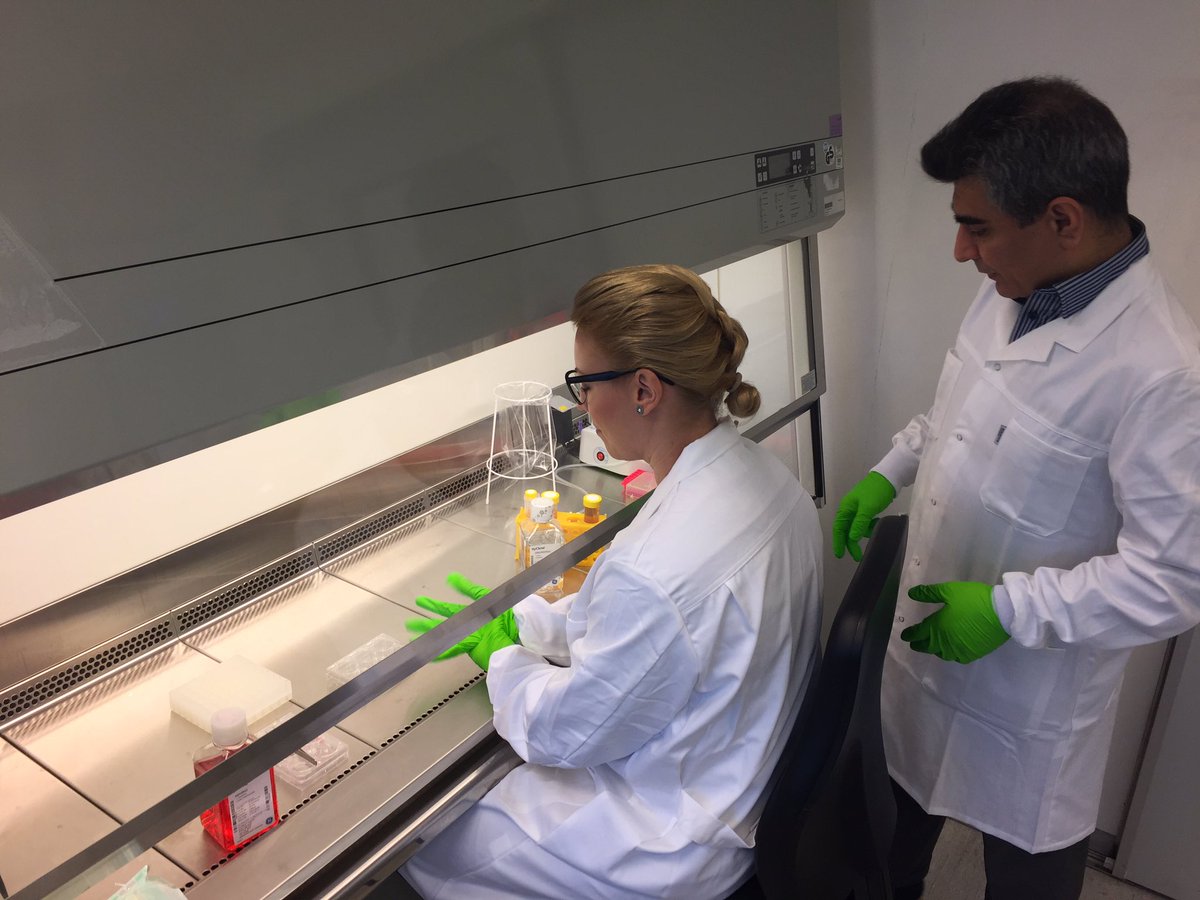 Cline_Sweden's tweet photo. Cell lab visit at #livdiagnostics https://t.co/36jAndcG46