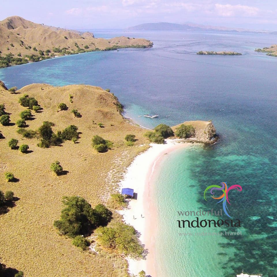 ITPC_SP_Brazil's tweet photo. A Praia Rosa é uma das sete praias de coloração rosa no planeta, uma das muitas características surpreendentes das Ilhas de Komodo. É uma ótima escolha para mergulho iniciante e snorkel, por suas águas rasas e abundância de espécies.
#Tradewithremarkableindoneisa
#itpcsp https://t.co/j1MMi73Cnv