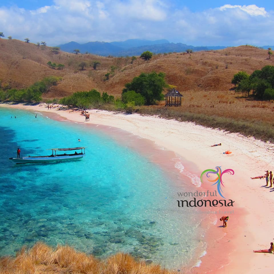 ITPC_SP_Brazil's tweet photo. A Praia Rosa é uma das sete praias de coloração rosa no planeta, uma das muitas características surpreendentes das Ilhas de Komodo. É uma ótima escolha para mergulho iniciante e snorkel, por suas águas rasas e abundância de espécies.
#Tradewithremarkableindoneisa
#itpcsp https://t.co/j1MMi73Cnv