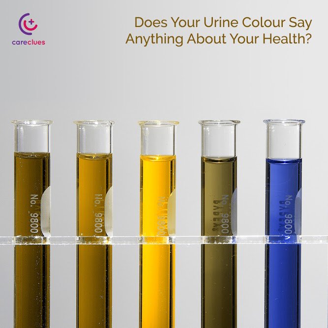CareClues's tweet photo. Yes...Your #Urine Is That #COLOURFUL: https://t.co/UFBvymXS4n #UrineColour #healthtips #HealthClues https://t.co/9TsDjS8D2J