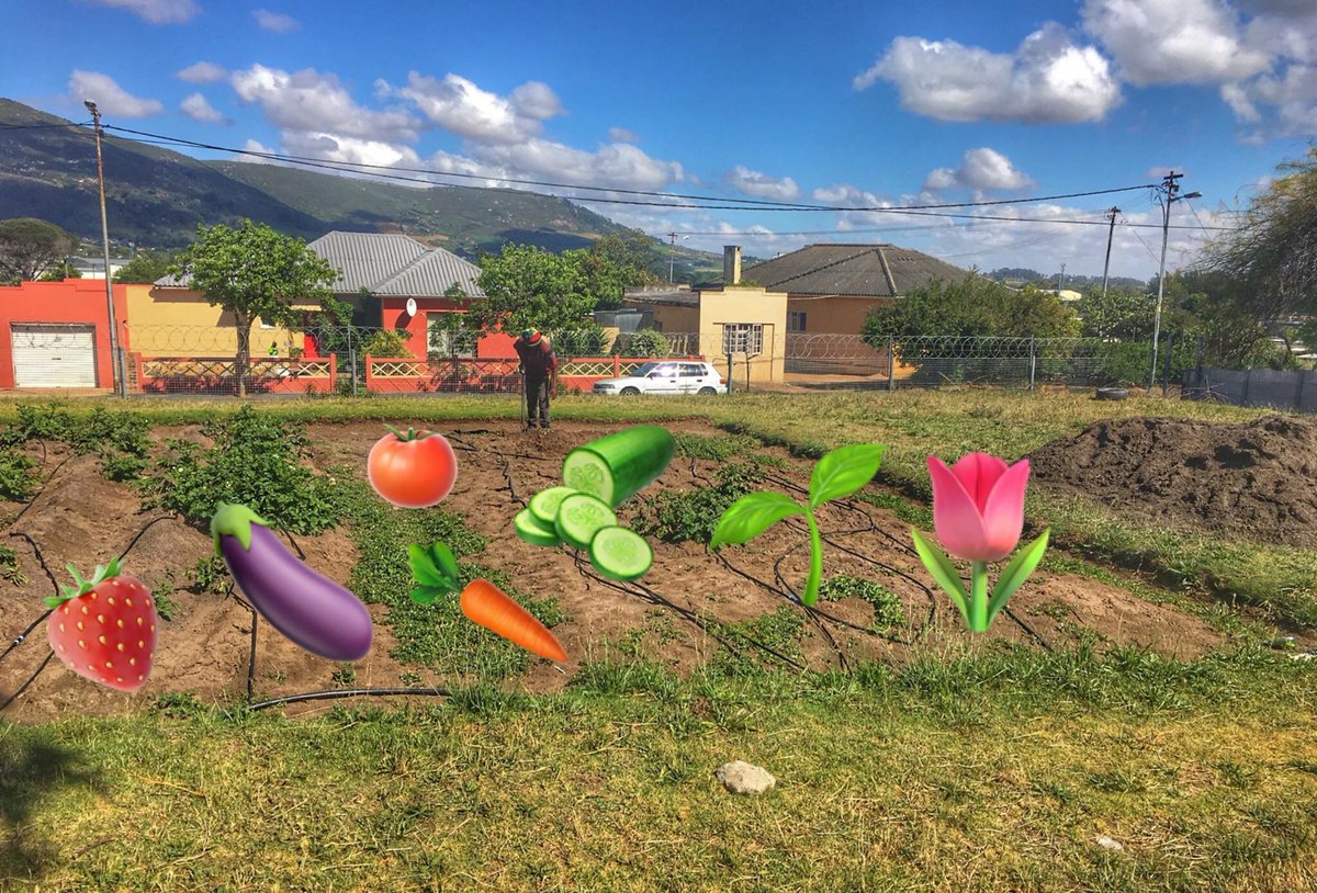 OrganicReliance's tweet photo. We've decided to turn our back on #BlackFriday & instead donate 4 cubes of #BlackGold to Charleston Hill Secondary in #Paarl for their plant day with #Call2Care. You can't put a price tag on thankful hearts. #GrowingGreenerGenerations https://t.co/fpH5BPApAk