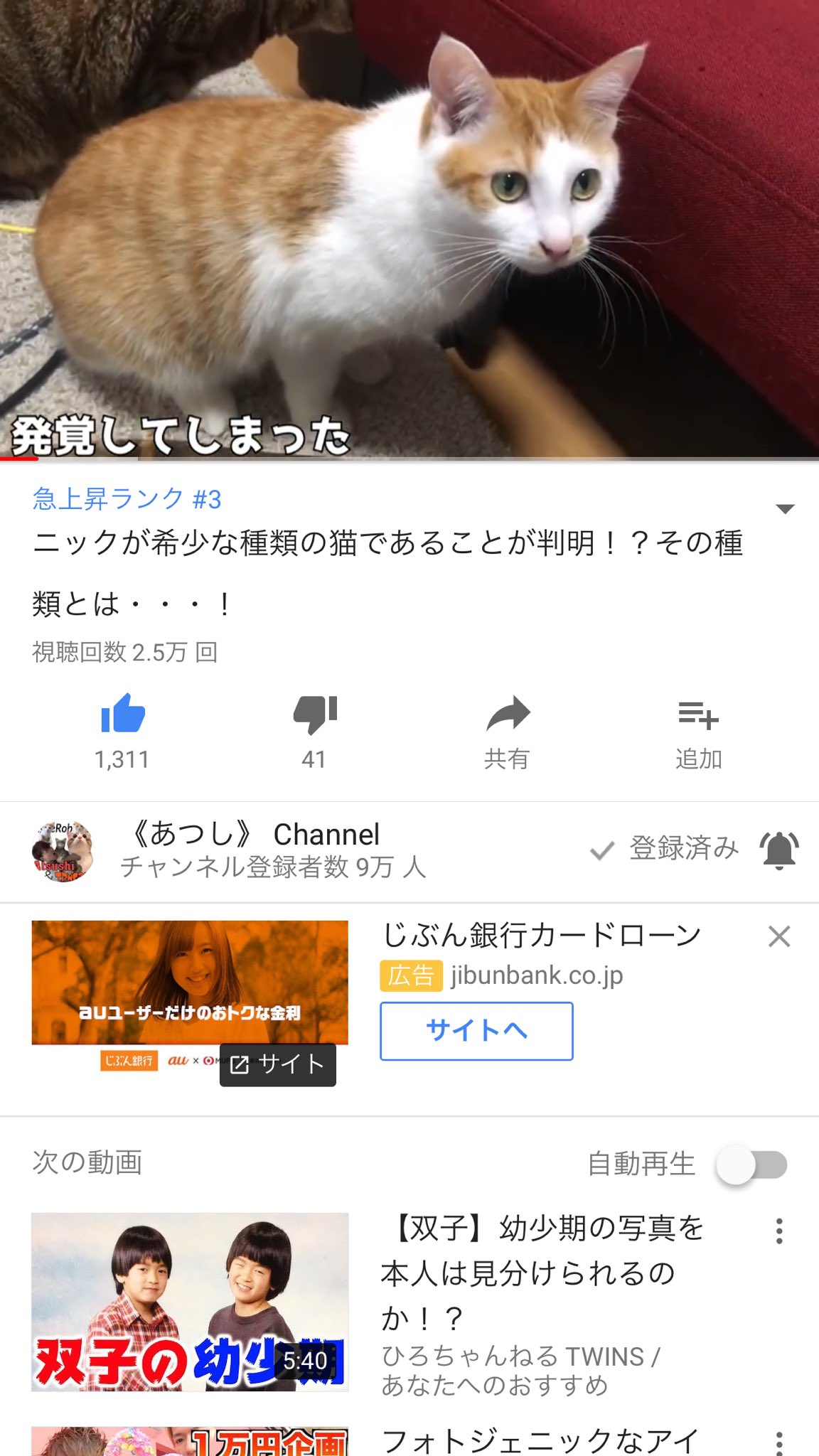 てりきち 10 3ユニバホラーナイト Youtube あつし Channel ニックさん急上昇ランキング3位 嬉しい チャンネル登録もうすぐ10万人 応援します あつしのあつし ニック ティガロビ ジャパニーズボブテイル ねこ おにくさん