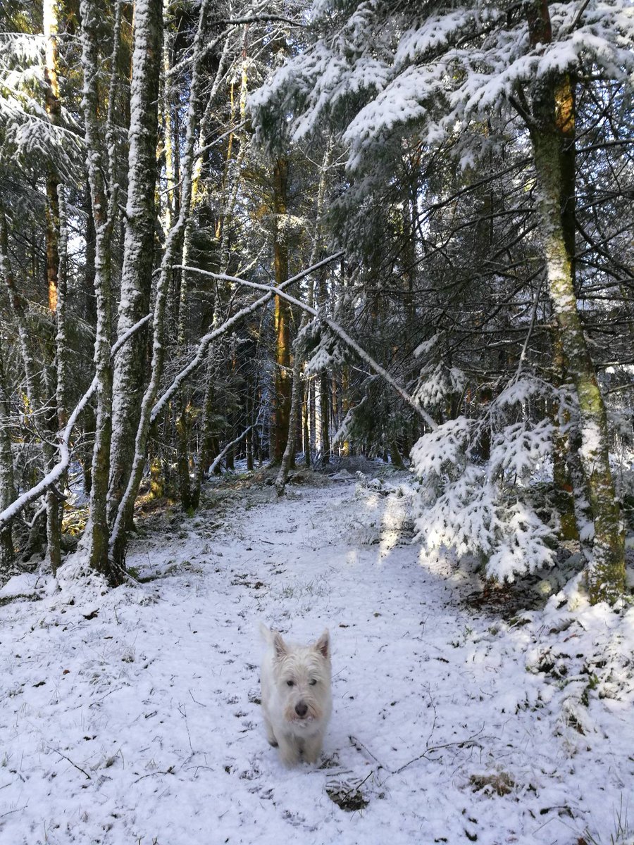 DunblaneGin's tweet photo. A typical view outside the distillery. Ahem! 
#ScottishGin
#DunblaneGin
#TimeForaGin https://t.co/ya21THSlne