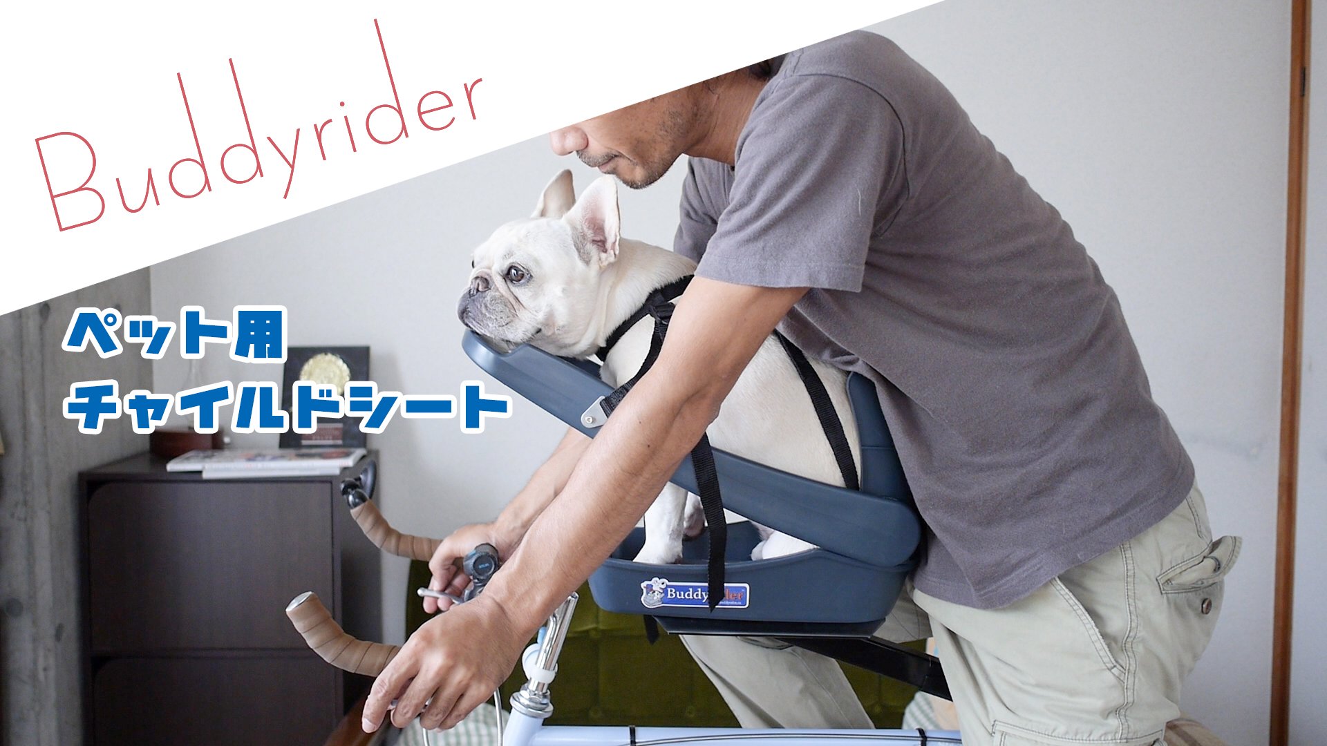 バディライダー - Search / X