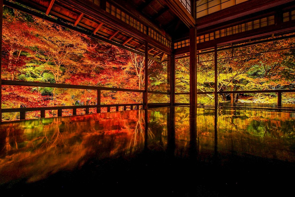 京見坂 瑠璃光院 紅葉ライトアップ 写真撮ってる人と繋がりたい 写真好きな人と繋がりたい ファインダー越しの私の世界 写真の奏でる私の世界 京都 瑠璃光院 紅葉 紅葉ライトアップ