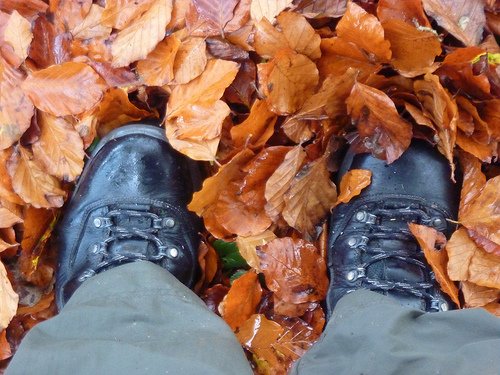 LondonHiker's tweet photo. If you love walking, living in London can sometimes feel a bit frustrating... https://t.co/zpbv4tJC4n https://t.co/mOQfPRqOzl