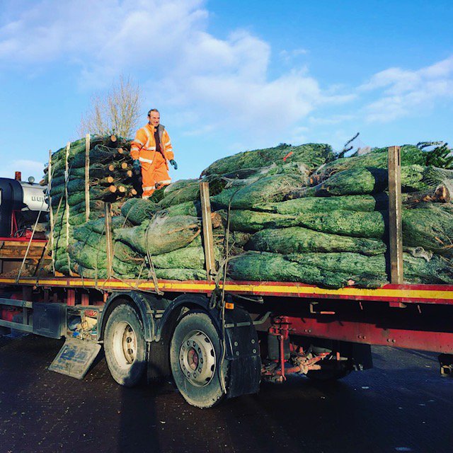 VisitPlumleys's tweet photo. Look what we took delivery of yesterday?! All the way from beautiful Scotland!! #ChristmasIsComing #ChristmasTrees #Knutsford #Cheshire https://t.co/h3vCsaEb1E