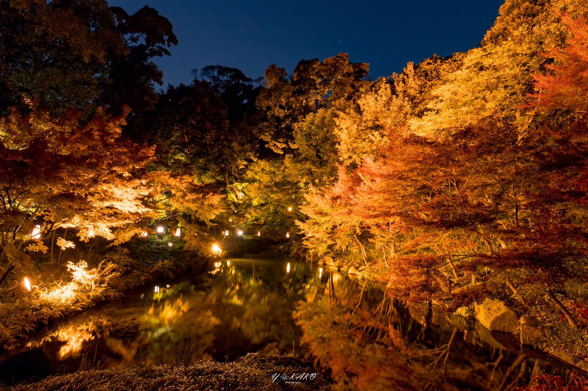 Uzivatel Y Kako Na Twitteru 名古屋市内にも紅葉のリフレクションが観れるスポットがあるのです 滝やせせらぎもありここが名古屋市内と忘れさせるひと時でした ライトアップは26日迄 17 11 24 徳川園紅葉祭ライトアップ 徳川園 愛知県 名古屋市 紅葉 紅葉