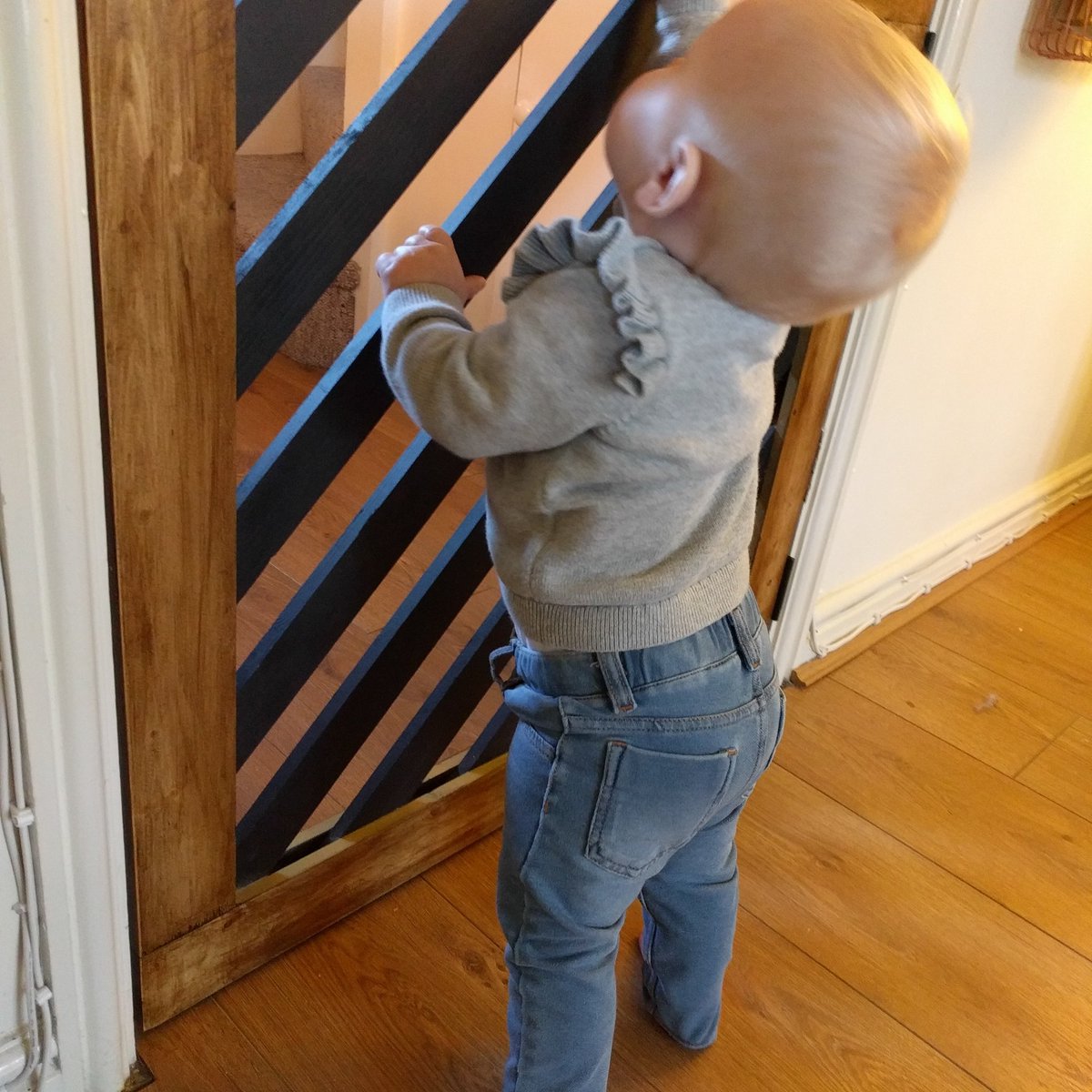 Daddy made a baby gate. 

Ada doesn't approve, and Janet the Cat has apparently forgotten how to jump 🤦‍♀️

#8monthsold #babyproofing #homemade #cleverdaddy