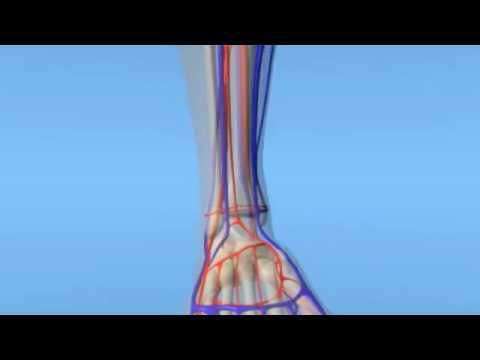 David G. Armstrong follow @dgarmstrong.bsky.social tweet media