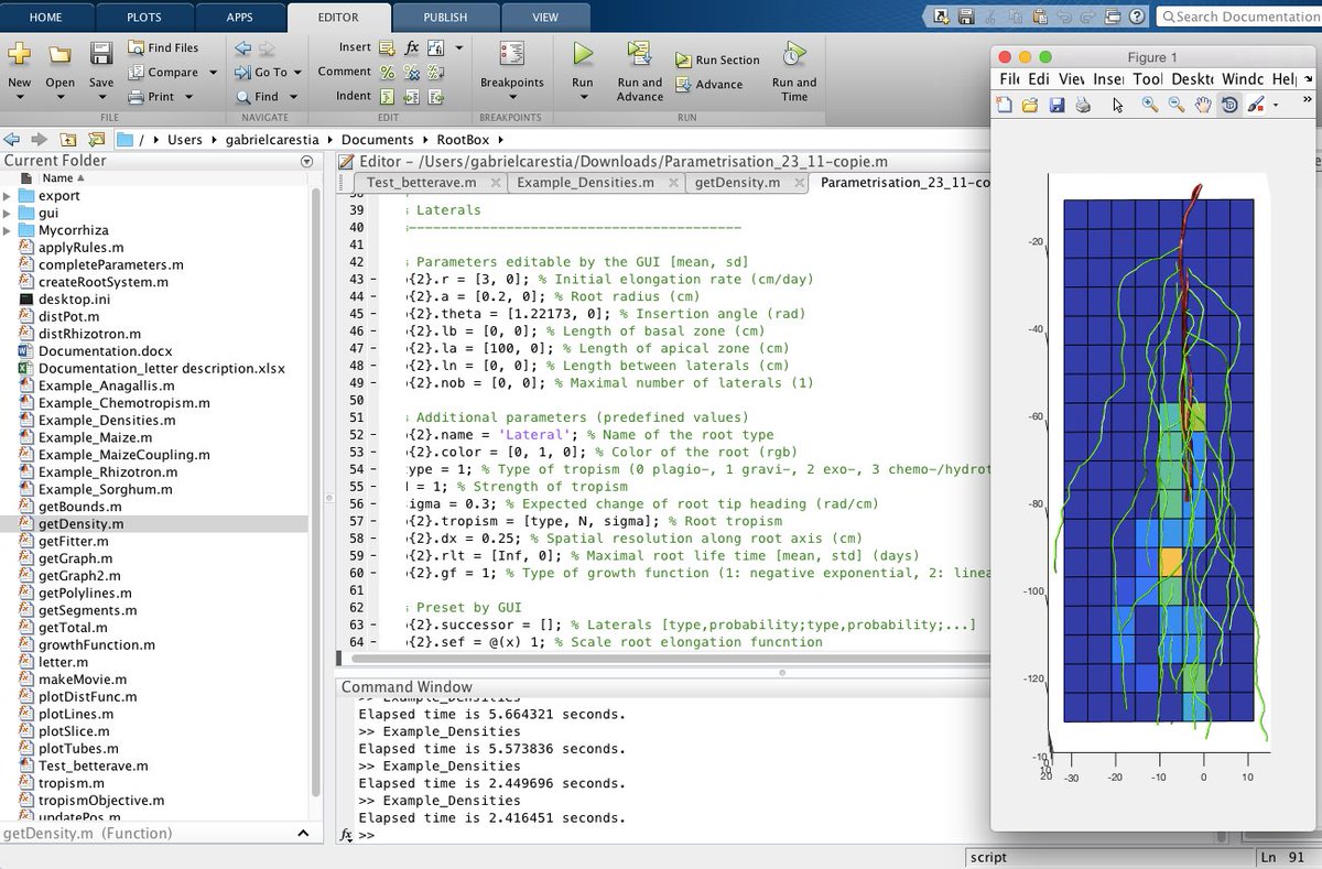 BioModelling's tweet image. We managed to implement our beet parameters in Rootbox. We're on the right track. #Excited #NoPainNoGain #MATLAB #coding