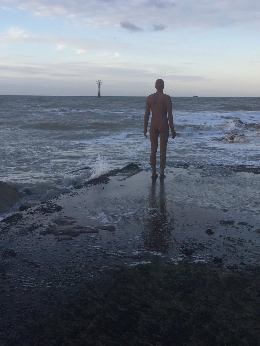 SmugglersCT9's tweet photo. Glad to see this visitor to Margate has decided to stay until November next year. Must enjoy those sunsets.... https://t.co/VqTL4I24Gv