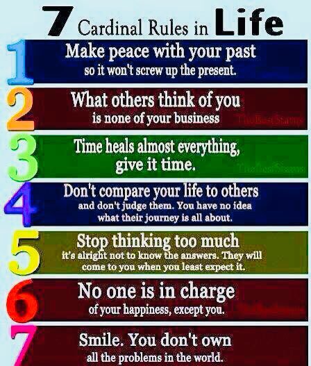 Alan Stein, Jr. tweet media