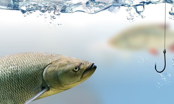 Neil Patel tweet media