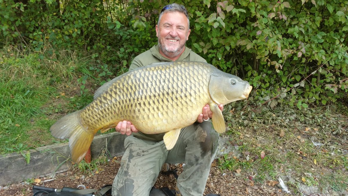 Last month 29+ common