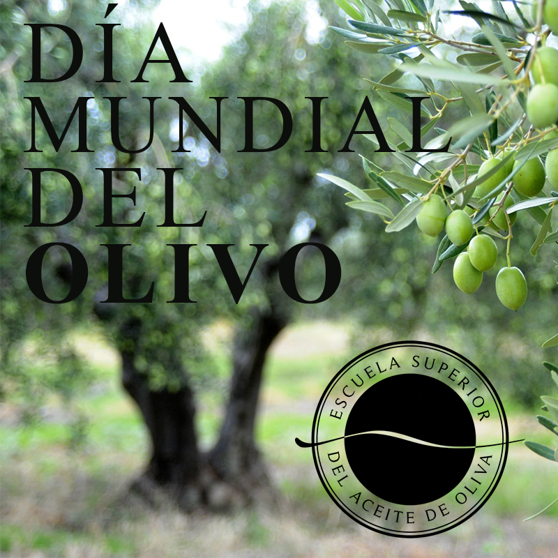 ESAO_Spain's tweet photo. Hoy es el #DíaMundialDelOlivo! https://t.co/zWFVHYeapl