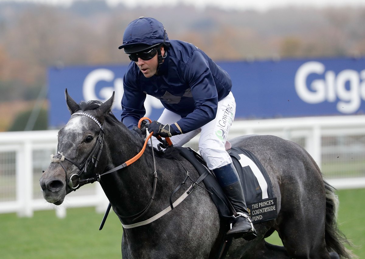 At The Races tweet media