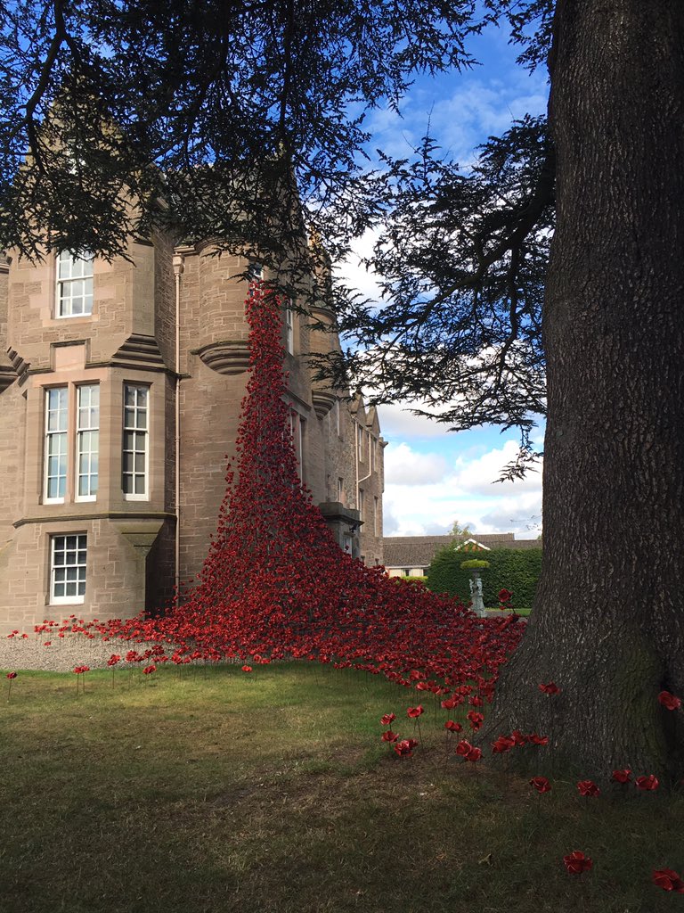 CarolVanzetta's tweet photo. @UlsterMuseum @1418NOW Perth in September 2016 #WeepingWindows #PoppiesTour https://t.co/DEGzsojnF3