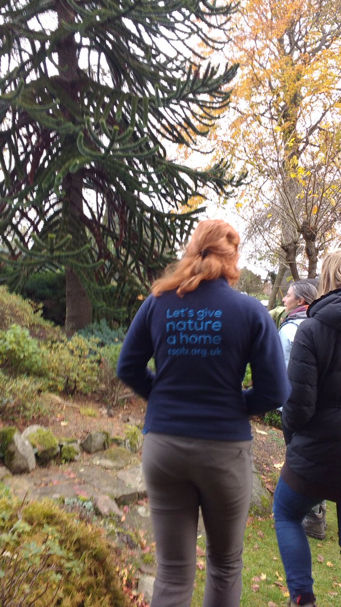 margonvt's tweet photo. #community #networking event learning about invasive species, orchards, community engagement @RSPBScotland @PoFFest @GreenTeamEdin @ProjectOrchard @BotanicCottage https://t.co/2vSV7stUOD
