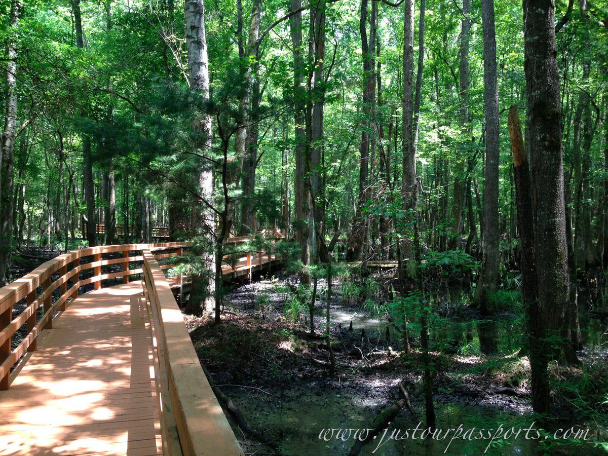 Sheugs's tweet photo. No #BlackFriday for Us!
We choose to #OptOutside
Hiking #CawCaw Interpretive Center
5200 Savannah Hwy
Ravenel, SC
See you at 11
#PalmettoPeakers
#SCOutlanders
@MyPeakChallenge
@MPCFitlanders @ladybay8 @Eva4organizing @dawgpenmama @MaryRuthStarr @DanielleBellack @JuliaEMcKenzie https://t.co/kjsRWgYbiE