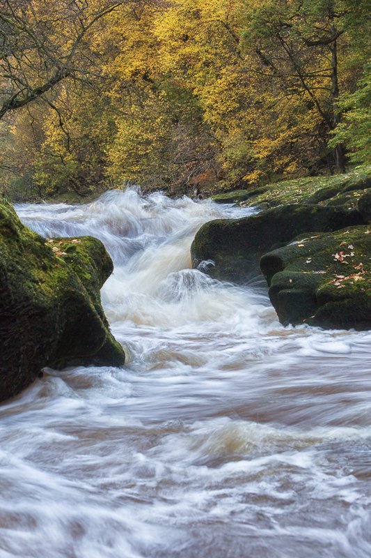 "Whoever believes in me [Jesus], as the Scripture has said, ‘Out of his heart will flow rivers of living water.’"